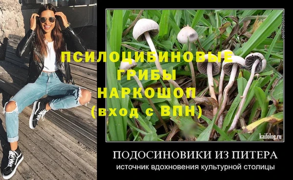винт Бородино