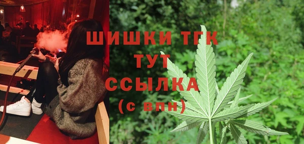 винт Бородино