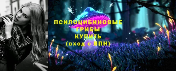 герыч Богородск
