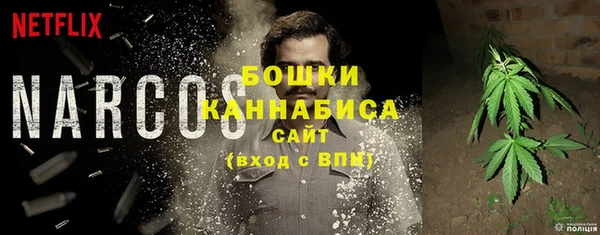 сатива Бугульма
