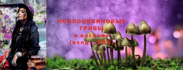 мефедрон Богородицк