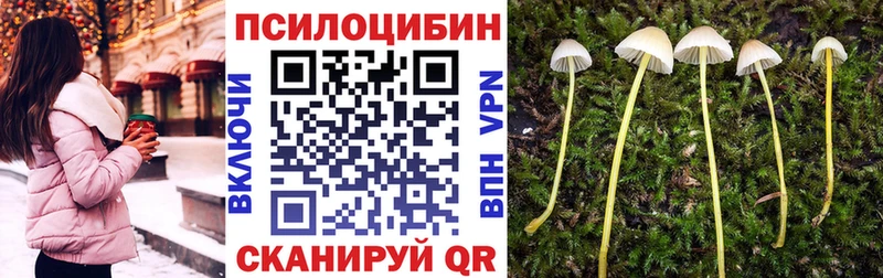 Псилоцибиновые грибы Magic Shrooms  KRAKEN маркетплейс  Верхний Уфалей 
