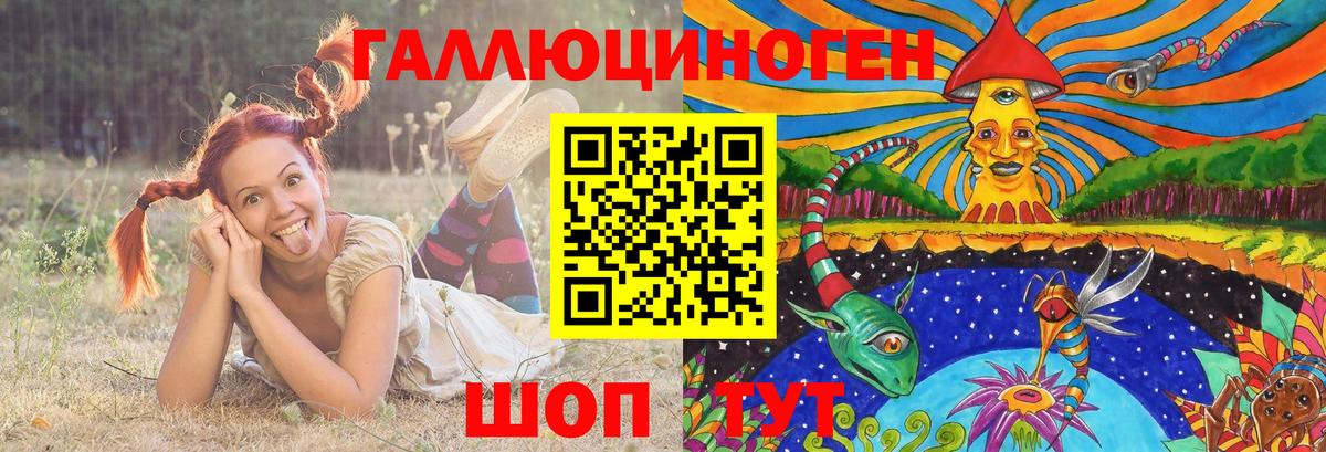 Галлюциногенные грибы Psilocybe Верхний Уфалей