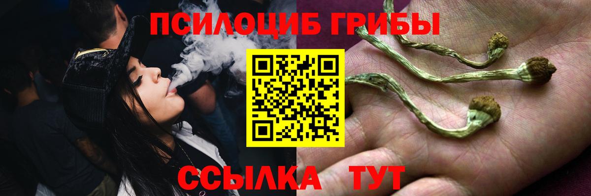 Псилоцибиновые грибы Psilocybe  Верхний Уфалей 