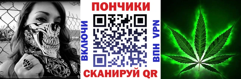 как найти   Верхний Уфалей  Шишки марихуана Amnesia 
